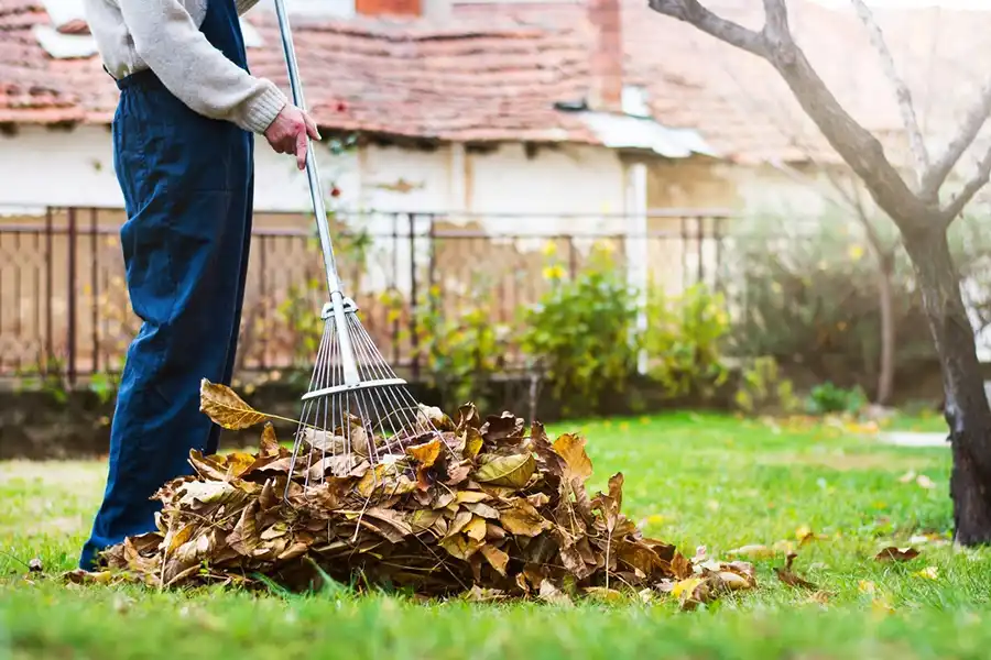 How To Clean A Backyard in Lee's Summit, MO