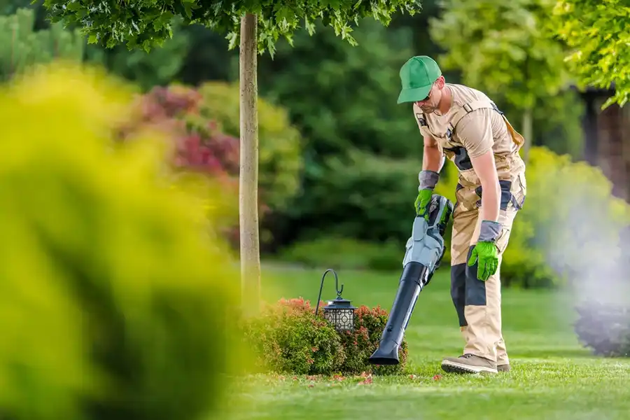 How To Clean A Backyard Lee's Summit, MO