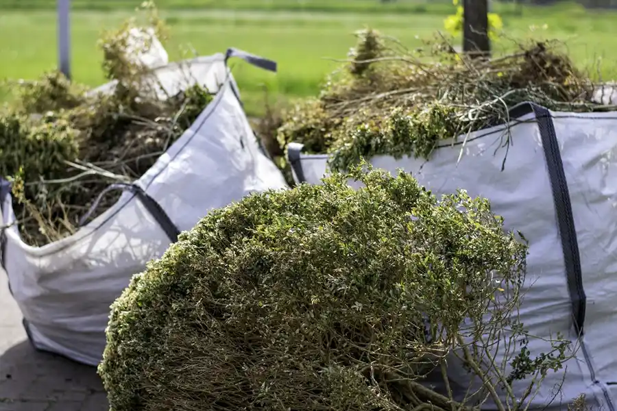 How to clear a yard full of weeds in Lee's Summit, MO