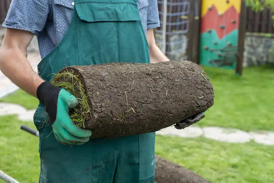 How to lay sod over existing lawn Lee's Summit, MO