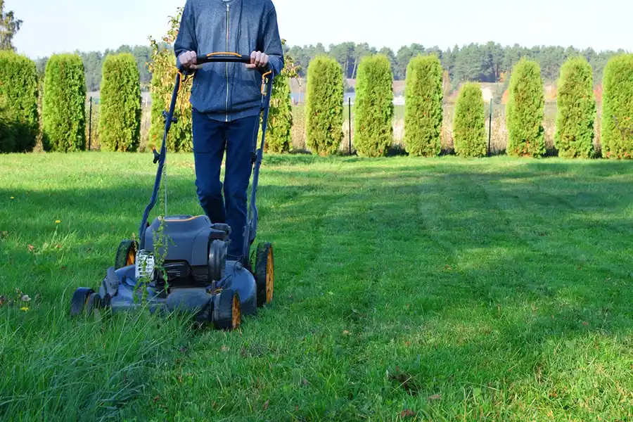 Efficient Lawn Mowing in Lee's Summit, MO