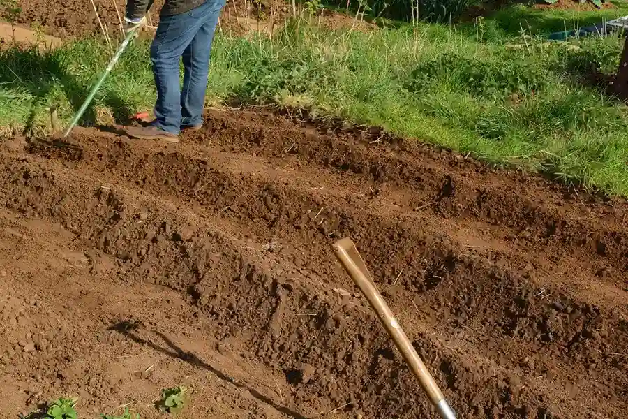 Best Mulching in Lee's Summit, MO