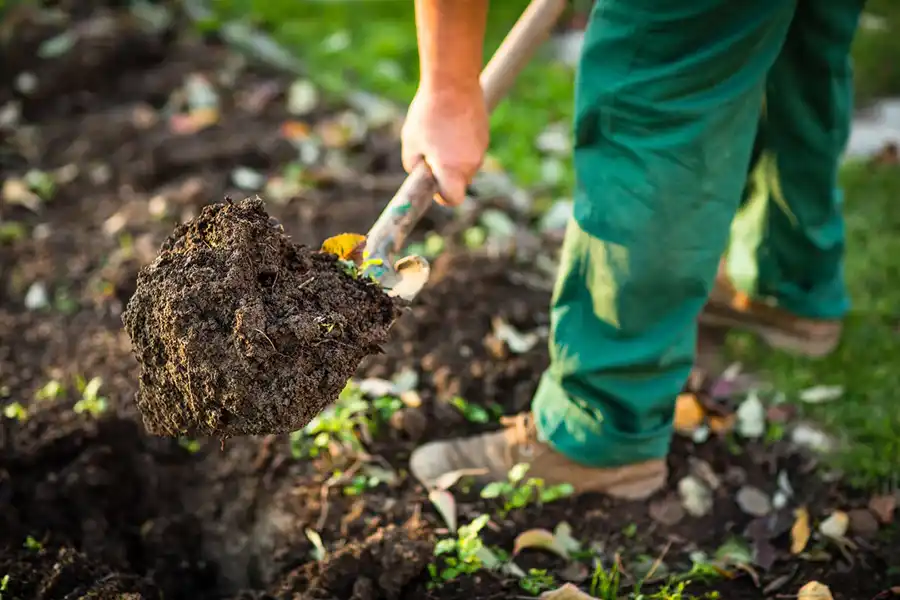 Reliable Mulching in Lee's Summit, MO