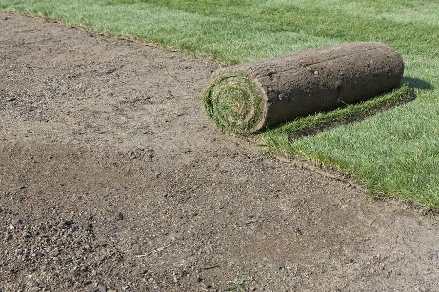 Efficient Sod Installation in Lee's Summit, MO