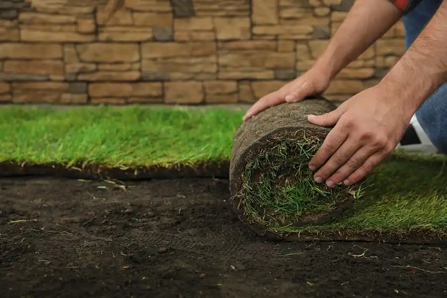 Reliable Sod Installation in Lee's Summit, MO