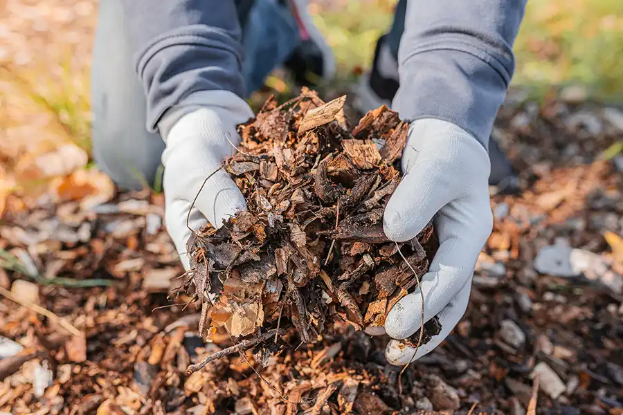 What does mulch do Lee's Summit, MO