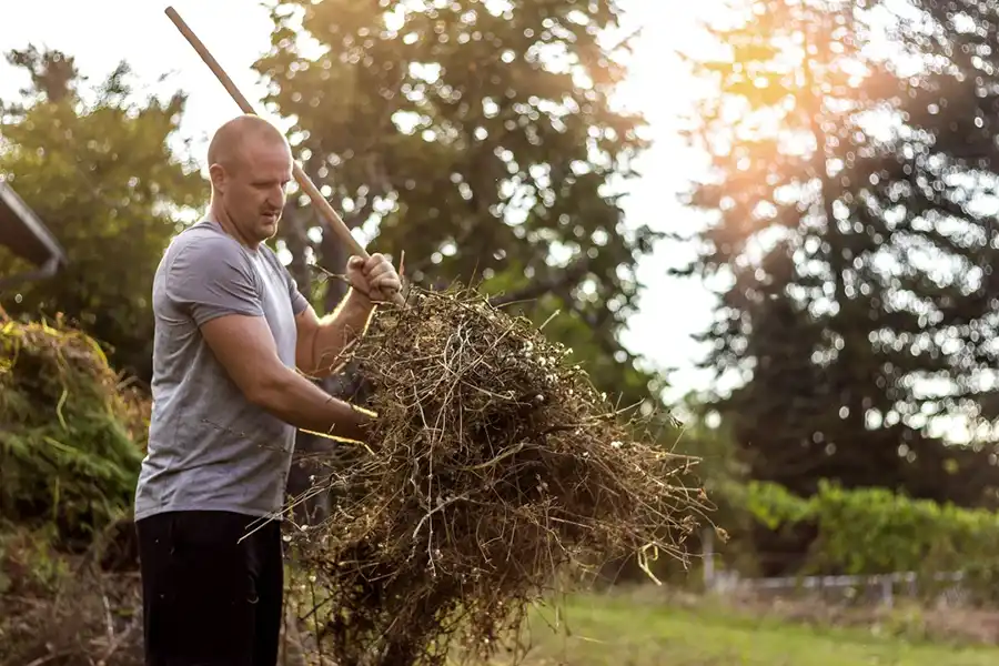 Efficient Yard cleanup in Lee's Summit, MO