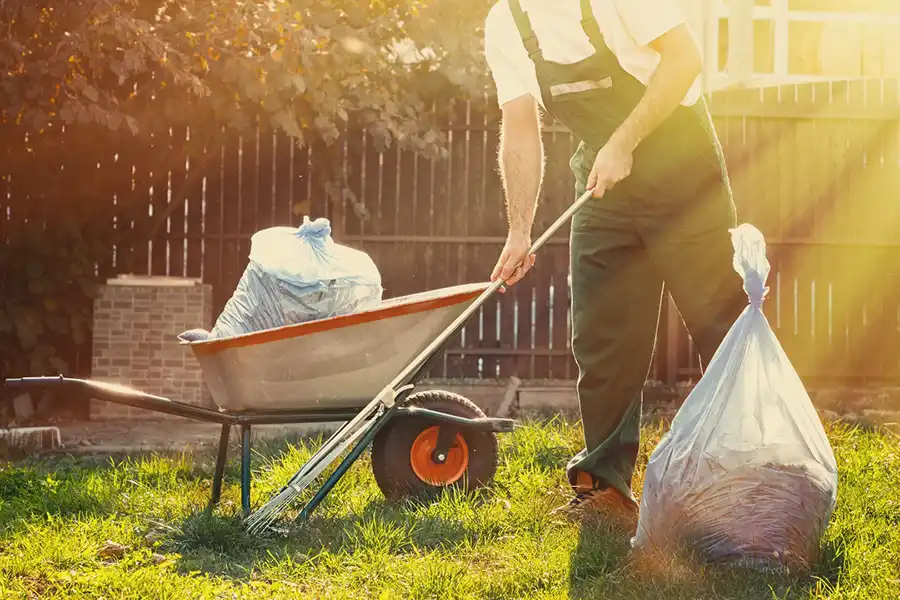 Best Yard cleanup in Lee's Summit, MO